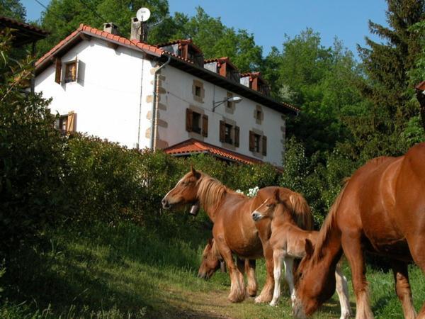 Agroturismo Mari Cruz Villanueva de Arce Exterior foto